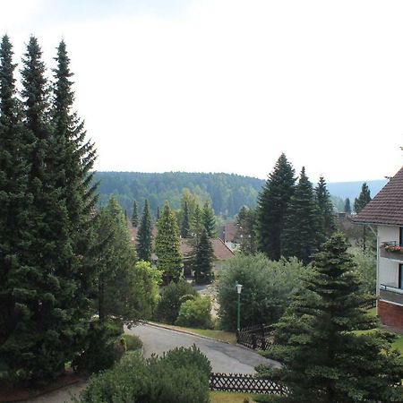 Ferienwohnungen Luebbers Braunlage Esterno foto